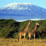 Mount Kilimanjaro