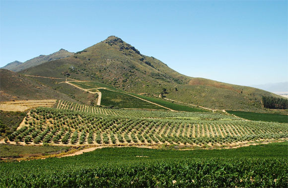 44% of African Land is Fertile