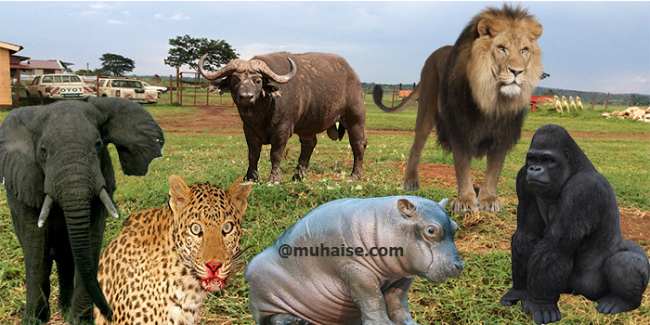 africa is endowed with tourism