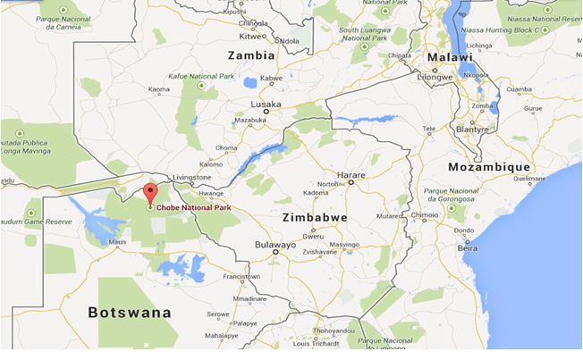 Chobe National Park