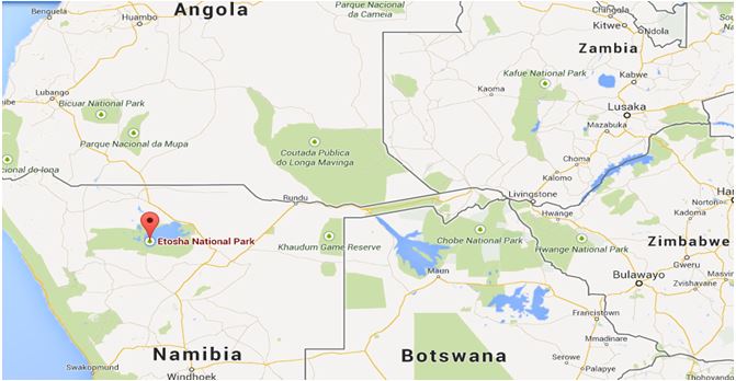 Etosha National Park