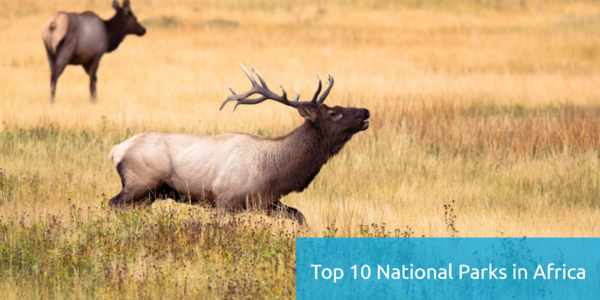 List of Top 10 National Parks in Africa Top 10 National Parks in Africa